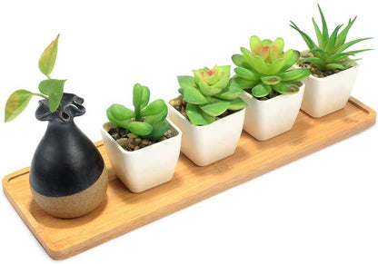 Bamboo Saucer Trays for Plant Pots, Six Shapes, view 12