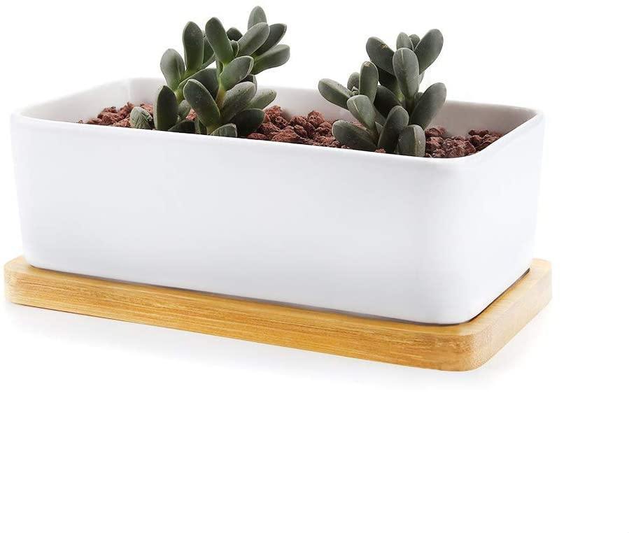 Bamboo Saucer Trays for Plant Pots, Six Shapes, view 13