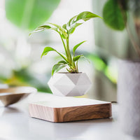 Levitating Plant Pot with Rotating Magnetic Base
