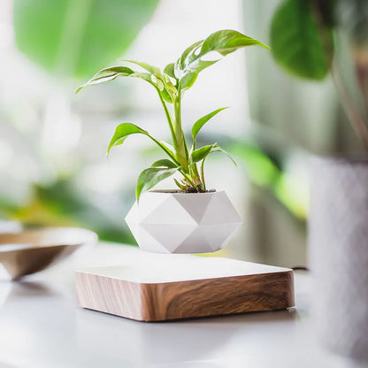 Levitating Plant Pot with Rotating Magnetic Base
