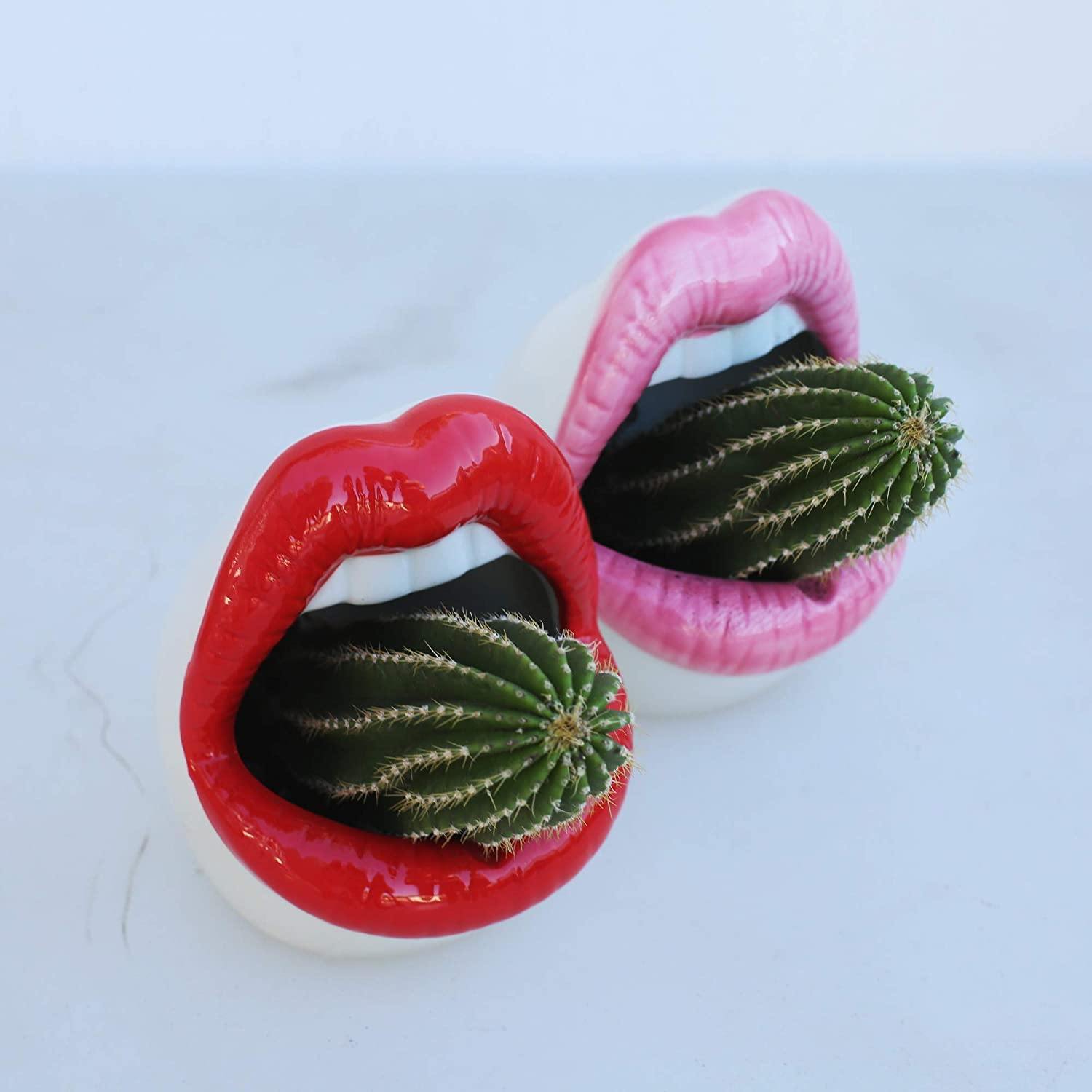 Lips Ceramic Planter for Small Succulents and Cacti, view 11