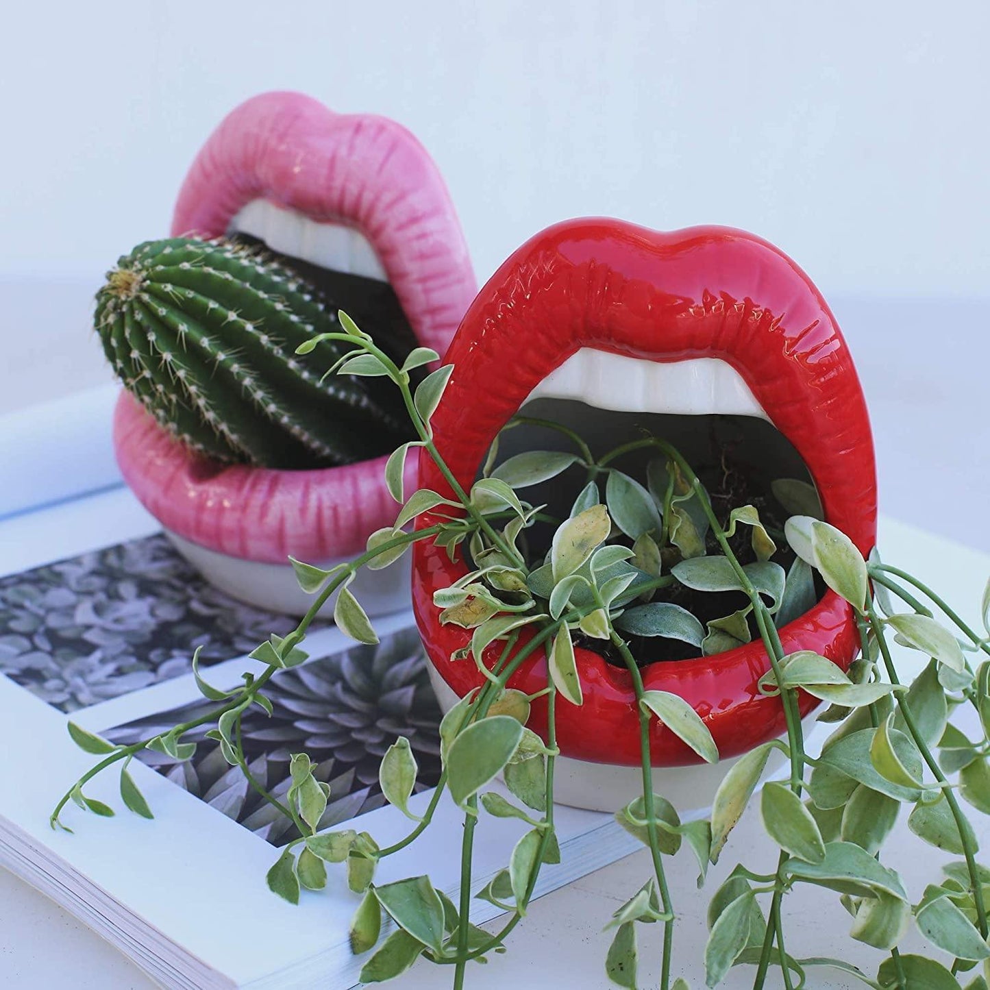 Lips Ceramic Planter for Small Succulents and Cacti, view 3