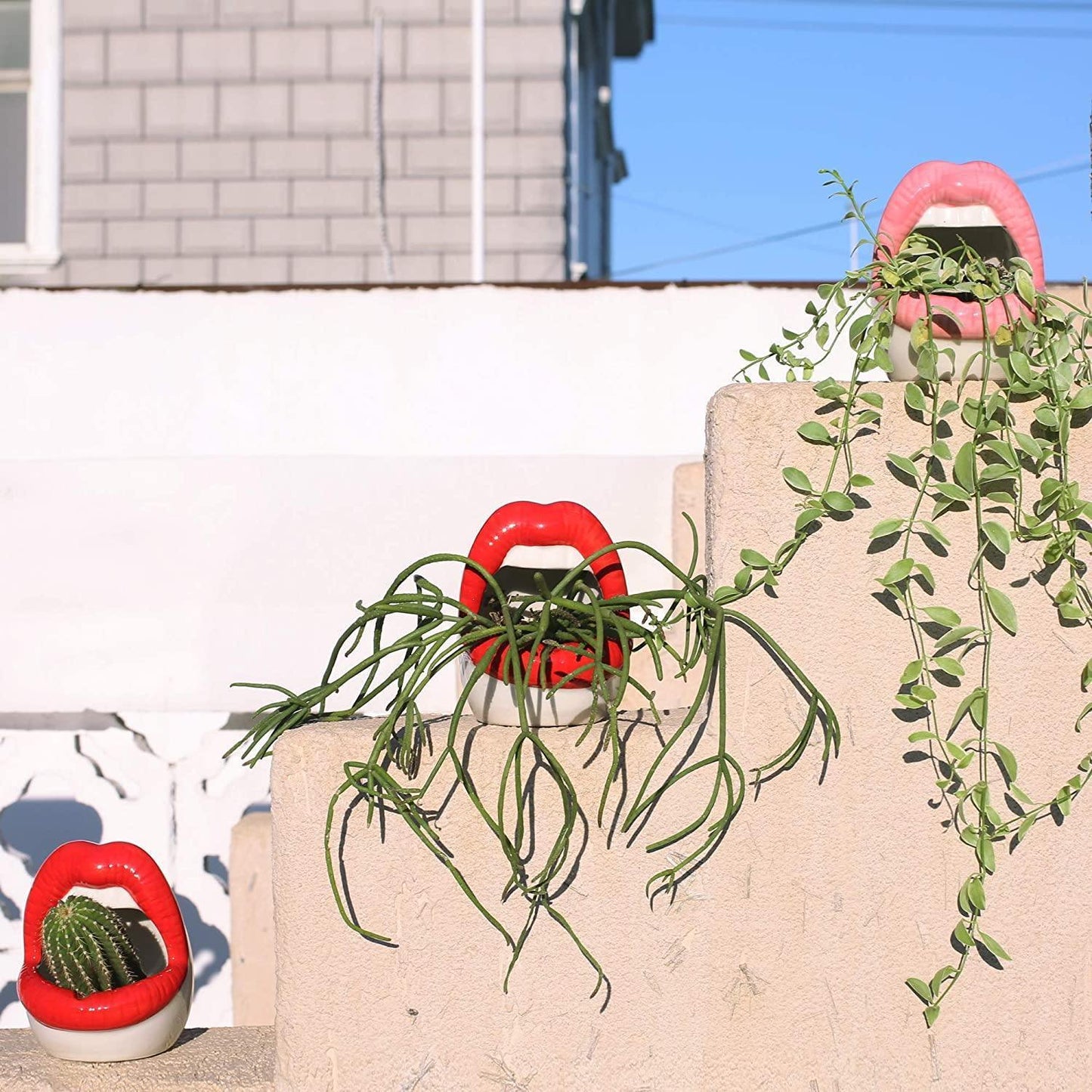 Lips Ceramic Planter for Small Succulents and Cacti, view 15