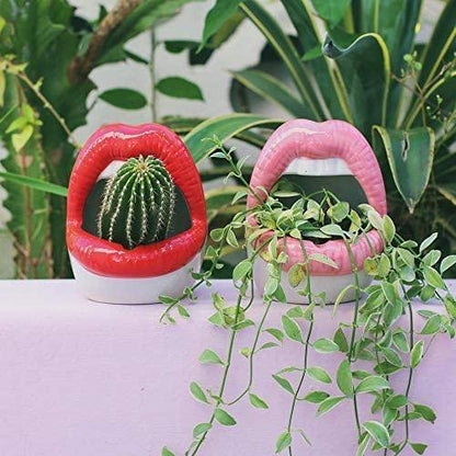 Lips Ceramic Planter for Small Succulents and Cacti, view 4