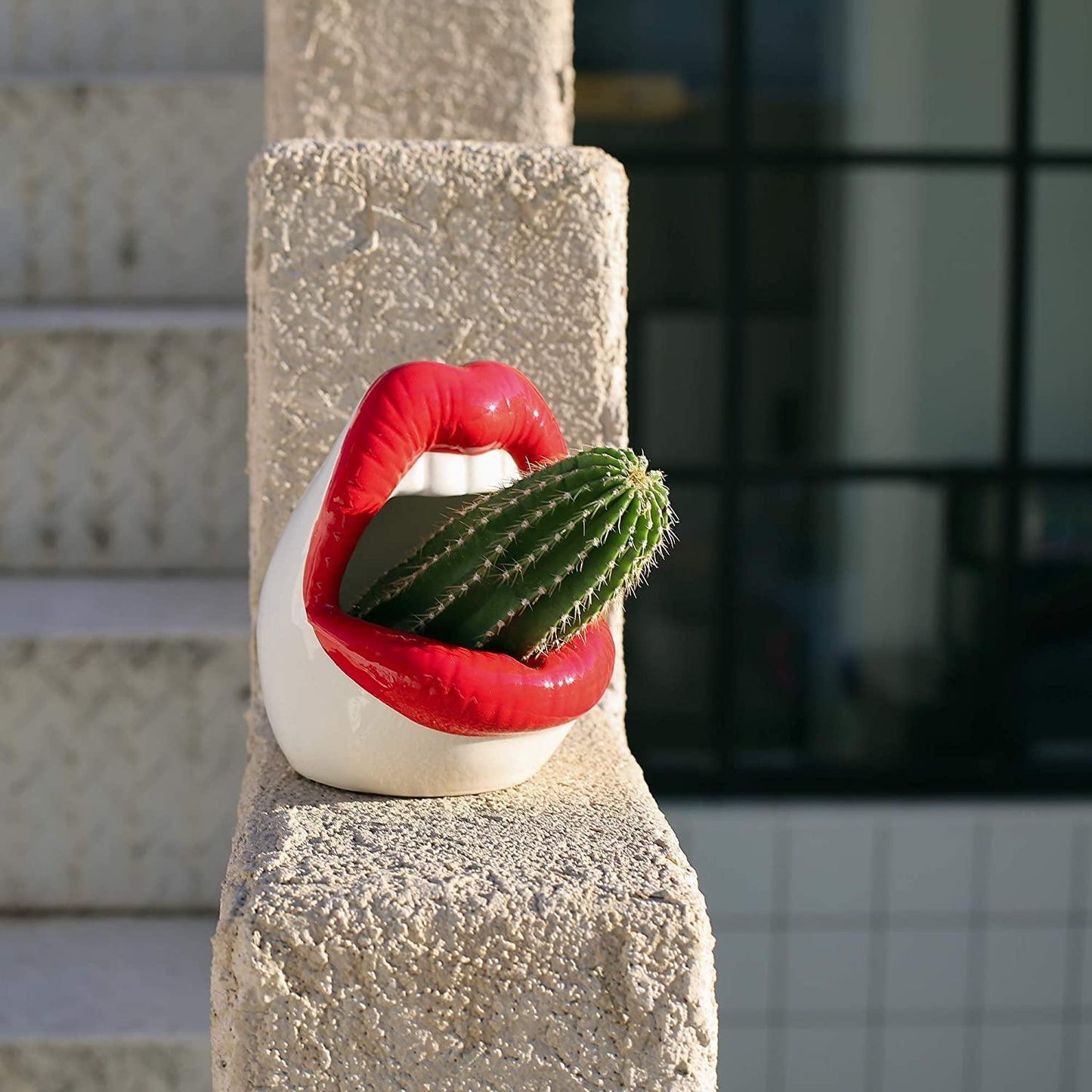 Lips Ceramic Planter for Small Succulents and Cacti, view 14