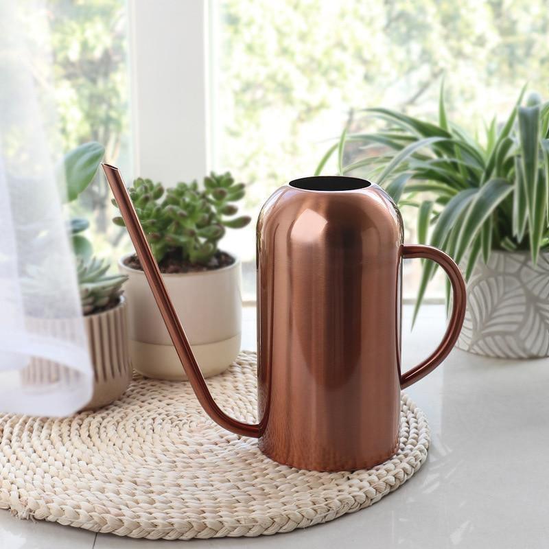 Stainless Steel Watering Can with Long Spout, 51 oz