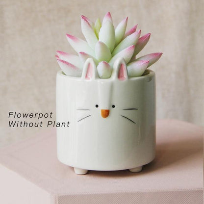 Square Animal Ceramic Planters with Drainage Hole, view 16