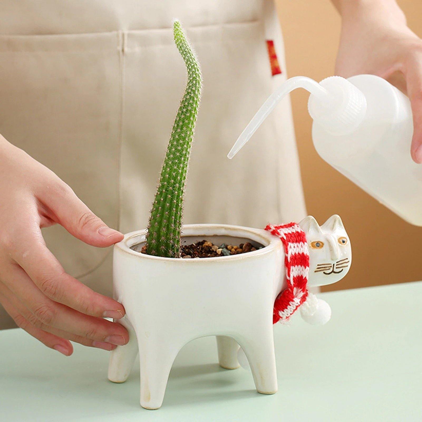 Cat Shaped Ceramic Planter with Drain Hole, 5.9 in, view 5