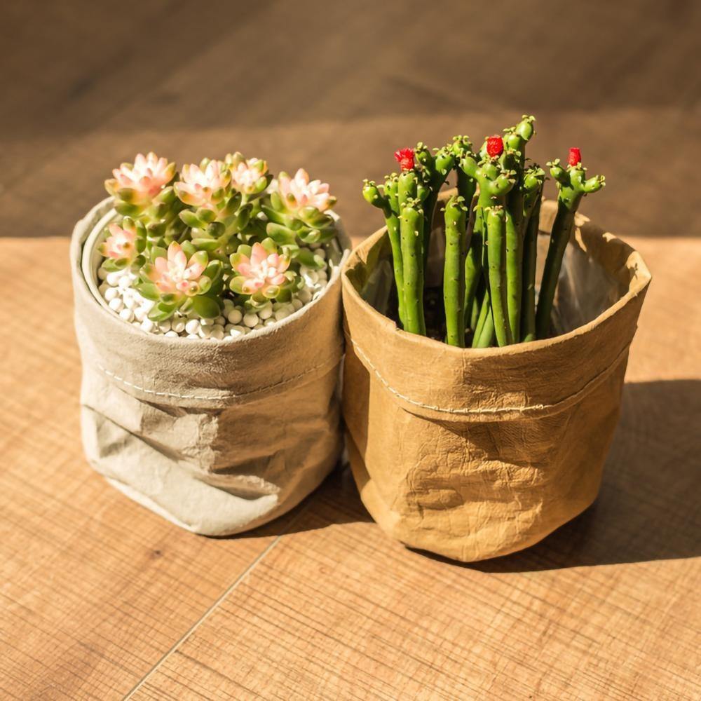 Water Resistant Paper Planter Pouch in Three Sizes, view 5