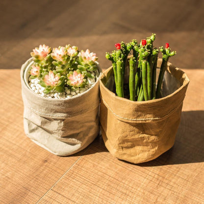 Water Resistant Paper Planter Pouch in Three Sizes, view 5