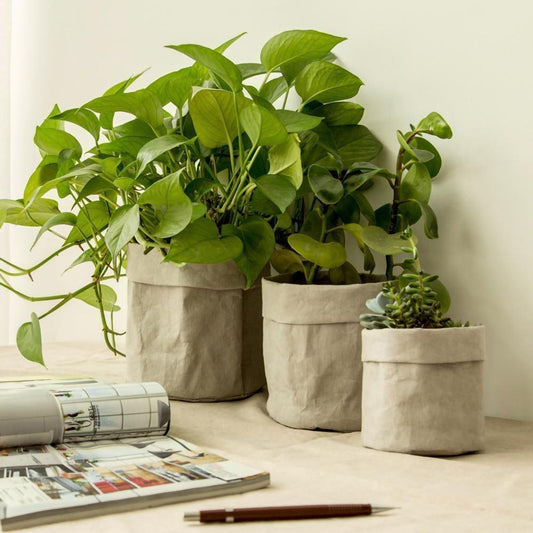 Water Resistant Paper Planter Pouch in Three Sizes, view 2