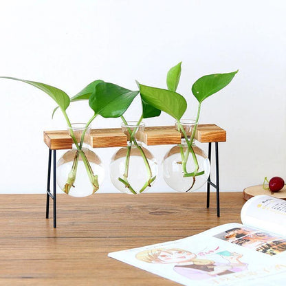 Glass Propagation Bulbs on a Wood and Metal Stand, view 4