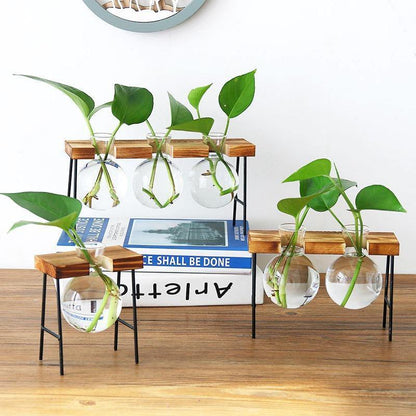 Glass Propagation Bulbs on a Wood and Metal Stand, view 8