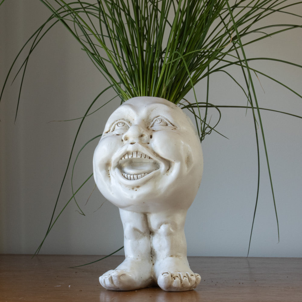 Resin Face Planter with Drainage Hole, Six Characters, view 3