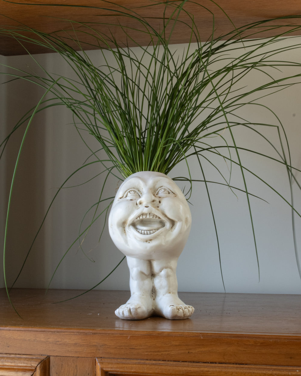 Resin Face Planter with Drainage Hole, Six Characters, view 30