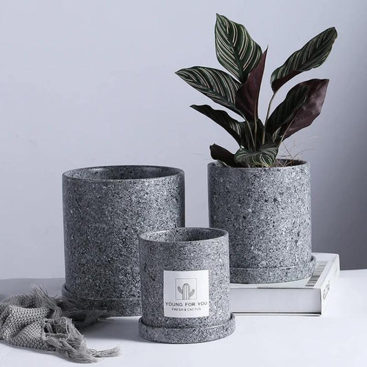 Nordic Ceramic Tabletop Planter Vase in Five Colors