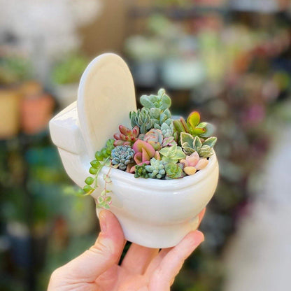 Ceramic Toilet Shaped Succulent Planter, view 7