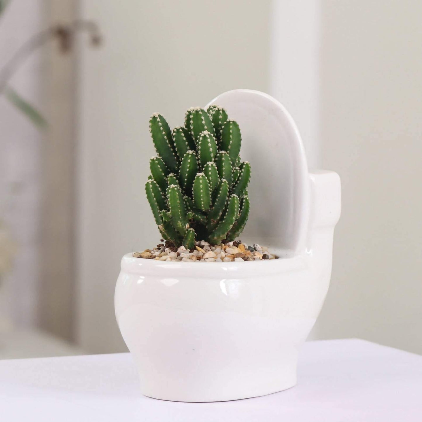 Ceramic Toilet Shaped Succulent Planter, view 8