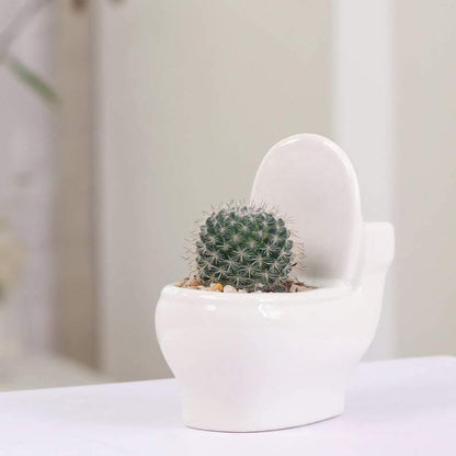 Ceramic Toilet Shaped Succulent Planter, view 5