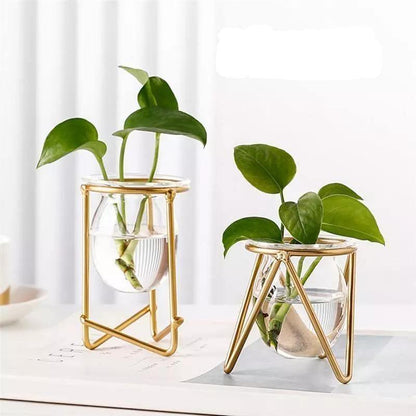 Glass Propagation Vase on a Geometric Iron Stand, view 3