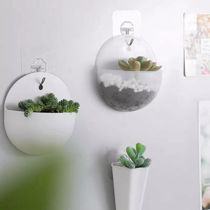 Wall Hanging Planters, Cone or Circle, White or Clear, view 15
