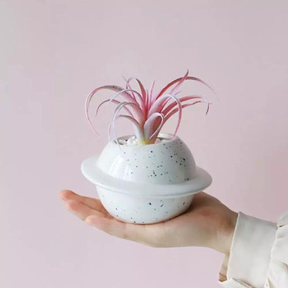 Planet Shaped Mini Ceramic Planter for Succulents, view 9