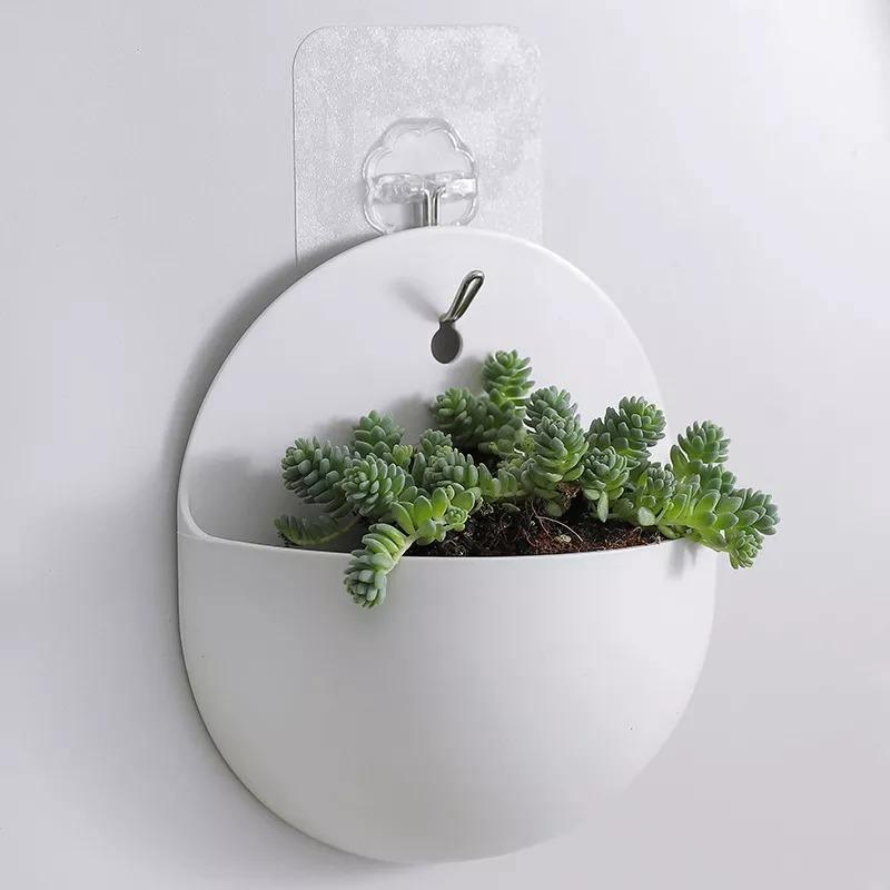 Wall Hanging Planters, Cone or Circle, White or Clear, view 4