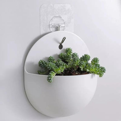 Wall Hanging Planters, Cone or Circle, White or Clear, view 4