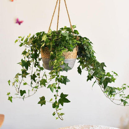 Jute Rope Hanging Planter Basket, 7.9 in, view 6
