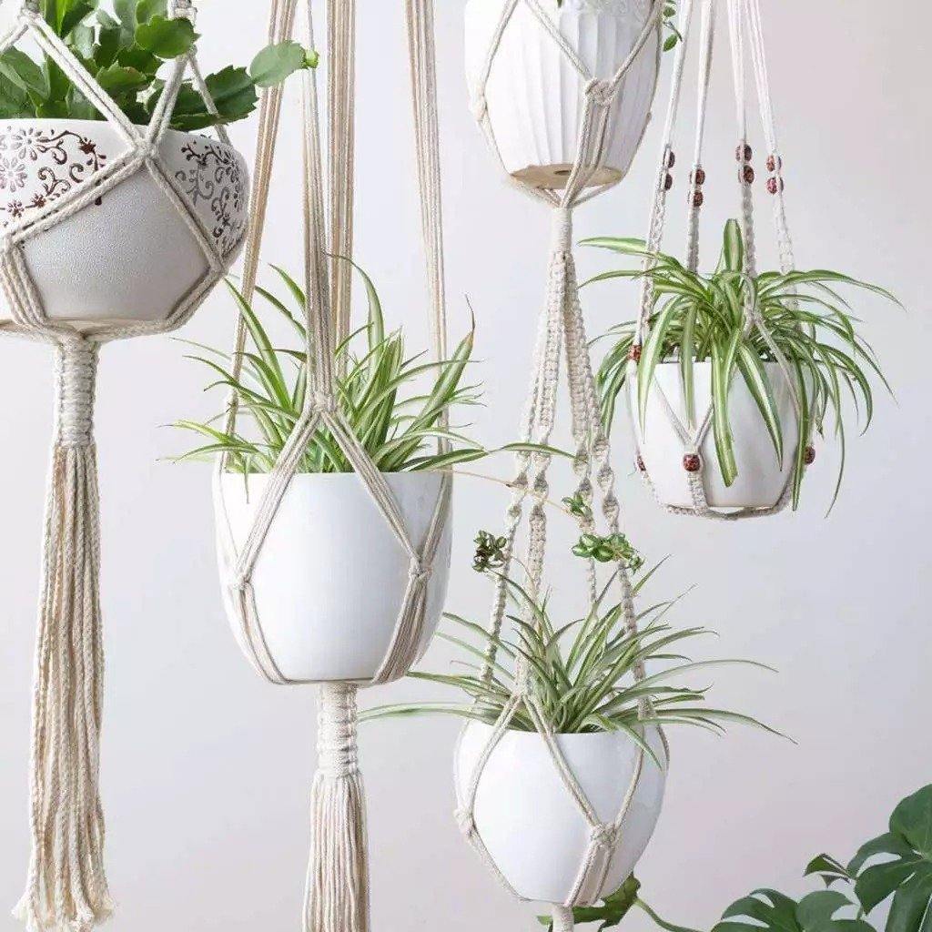 Macrame Plant Hangers, Set of 4, view 3