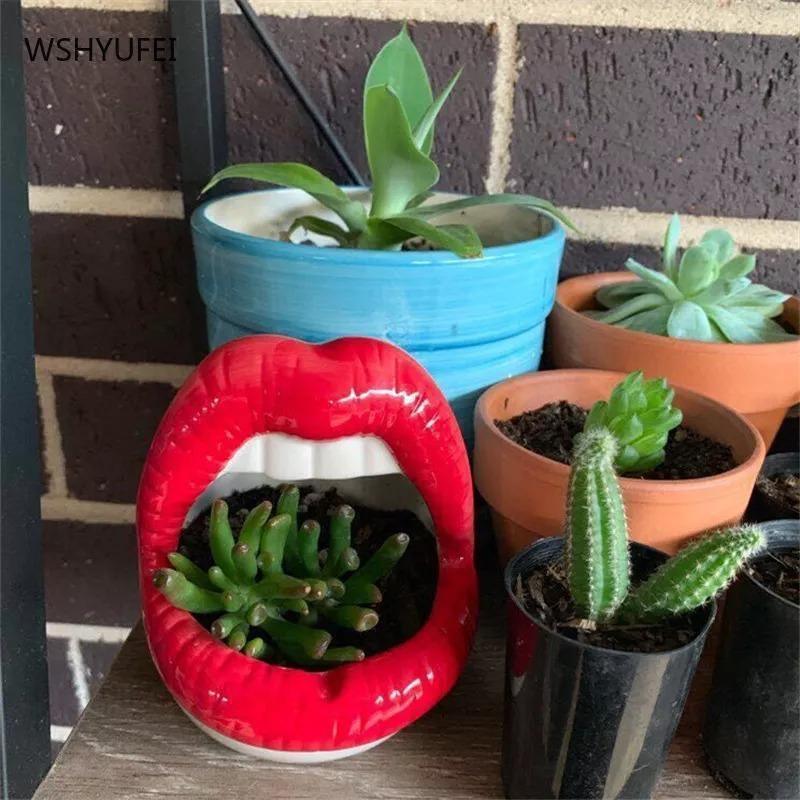 Lips Ceramic Planter for Small Succulents and Cacti, view 12