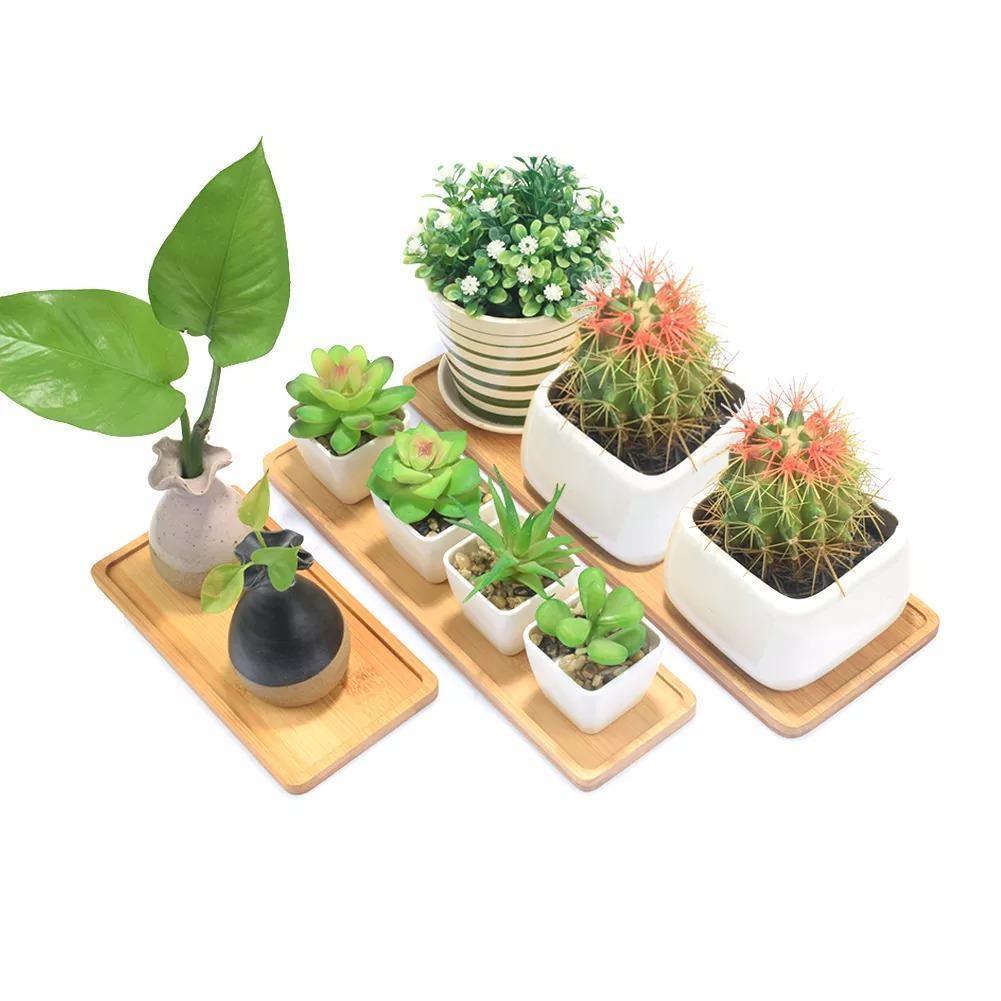 Bamboo Saucer Trays for Plant Pots, Six Shapes, view 8
