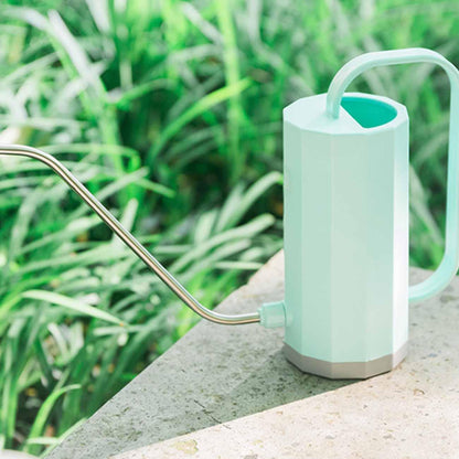 Tall Watering Can with Long Spout for House Plants, view 4