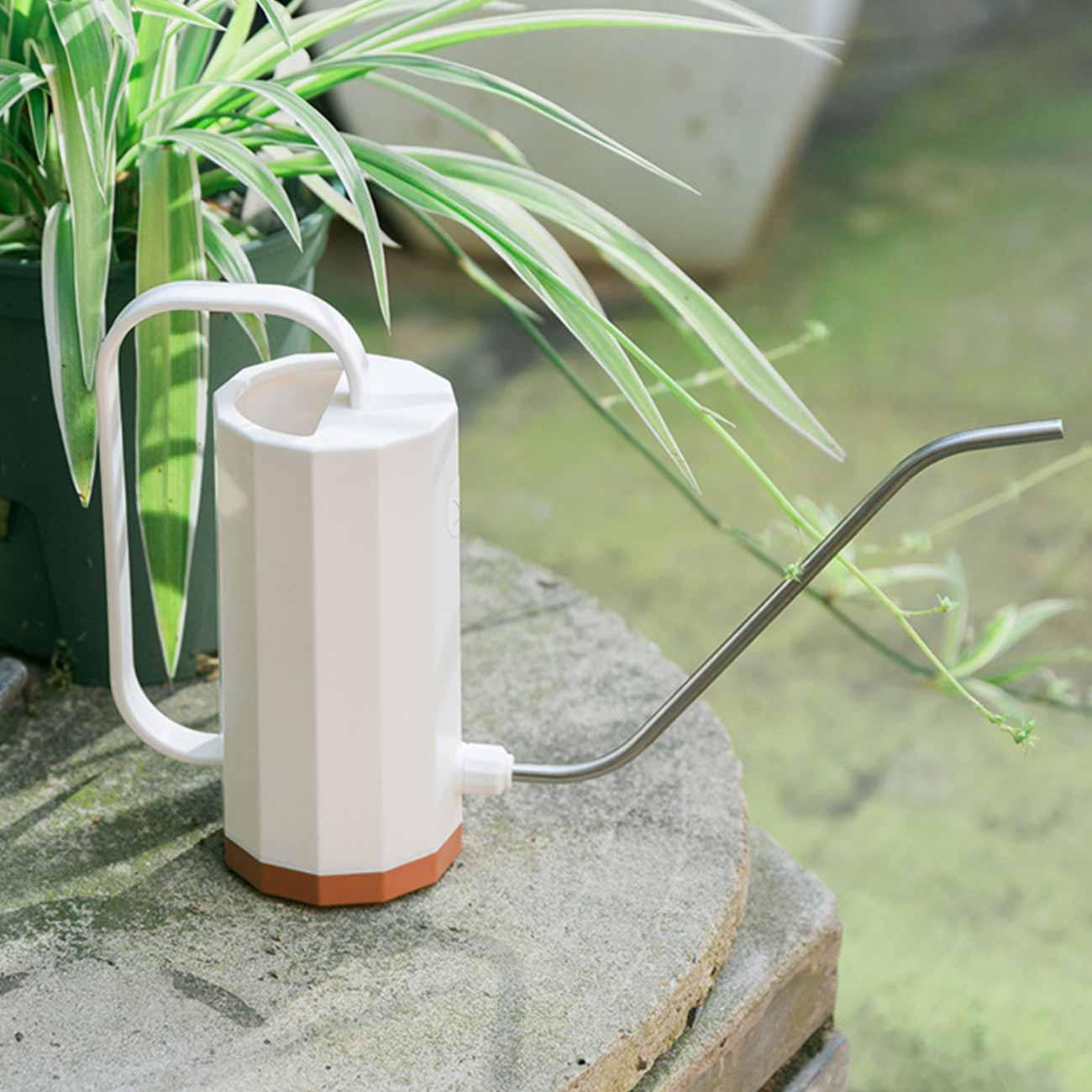 Tall Watering Can with Long Spout for House Plants, view 11
