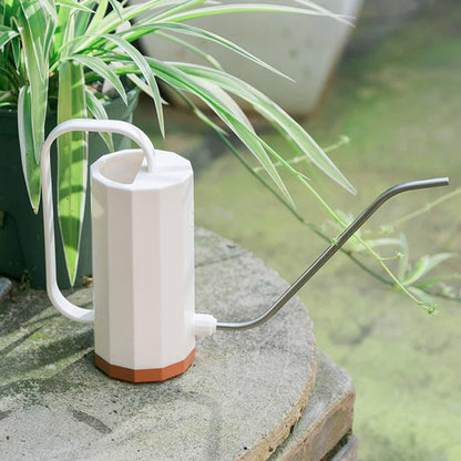 Tall Watering Can with Long Spout for House Plants, view 11