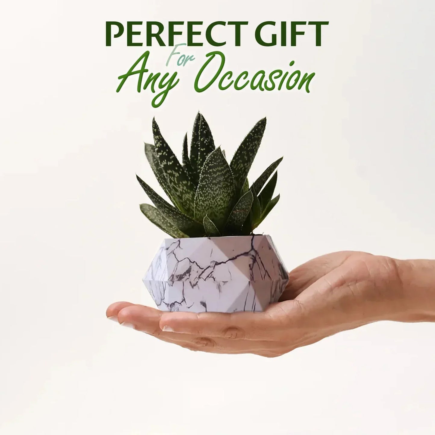 Levitating Plant Pot with Rotating Magnetic Base, view 8
