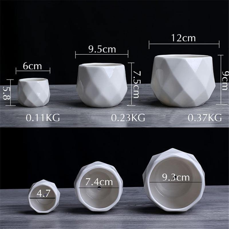 Faceted Ceramic Succulent Pot with Drainage Hole, view 10