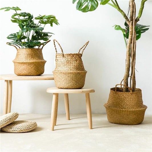 Round Rattan Basket with Handles for Plants or Storage