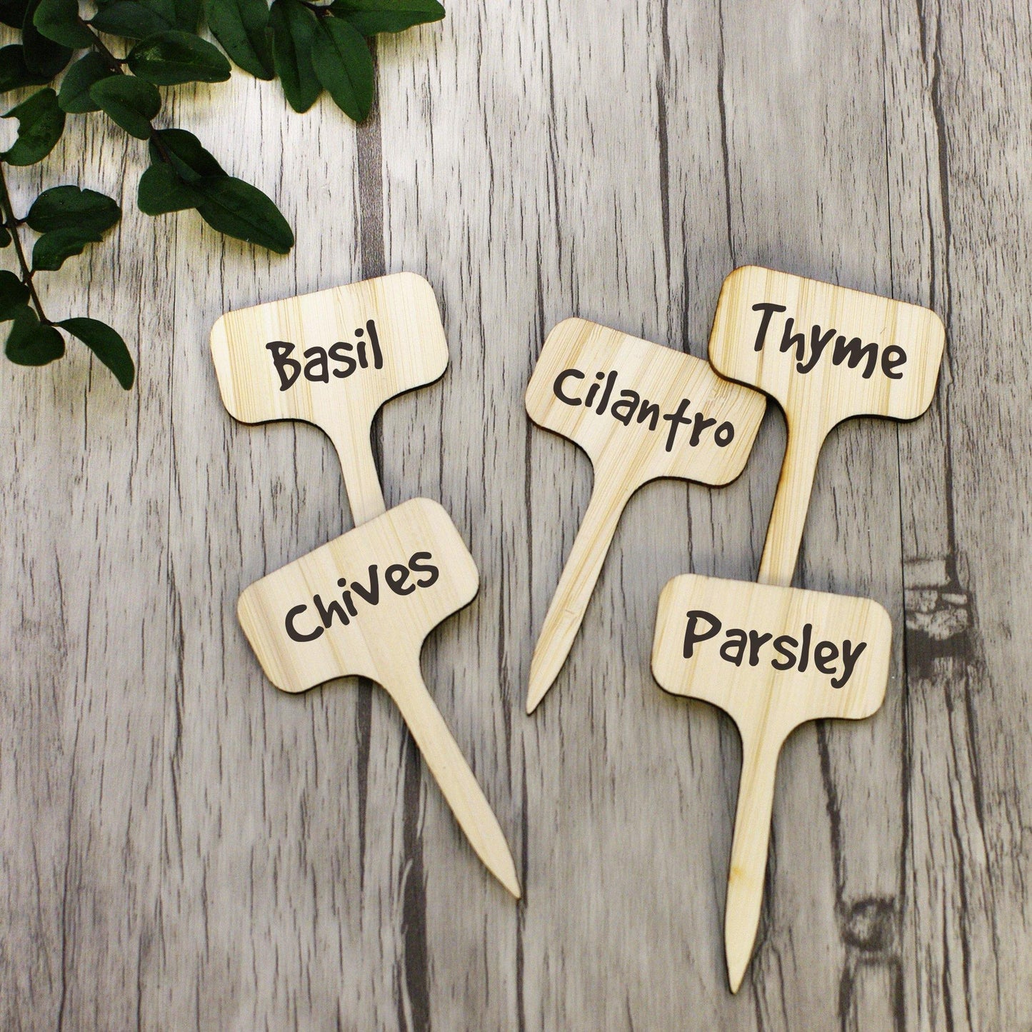 Bamboo Plant Label Tags, T Shaped and Double Sided, view 6
