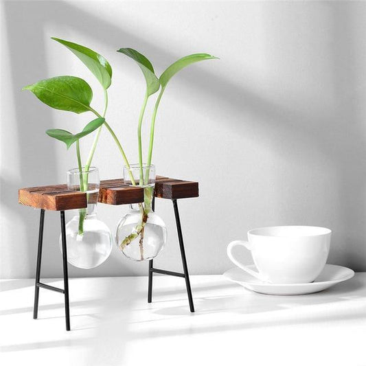 Glass Propagation Bulbs on a Wood and Metal Stand, view 2