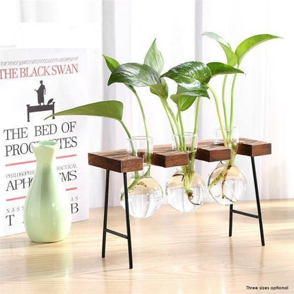 Glass Propagation Bulbs on a Wood and Metal Stand, view 7