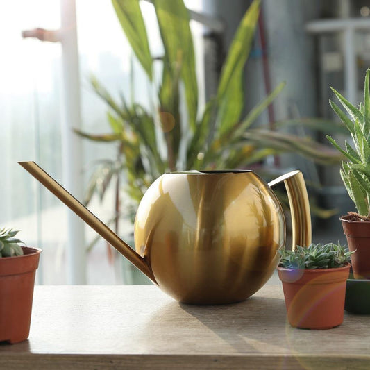 Spherical Stainless Steel Watering Can, Long Spout