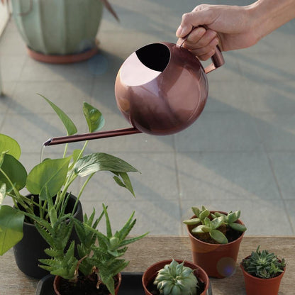 Spherical Stainless Steel Watering Can, Long Spout, view 20