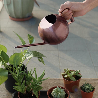 Spherical Stainless Steel Watering Can, Long Spout, view 29