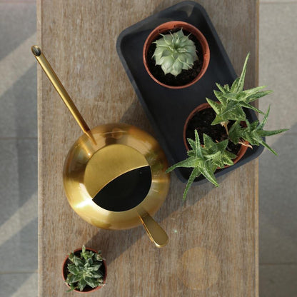 Spherical Stainless Steel Watering Can, Long Spout, view 16