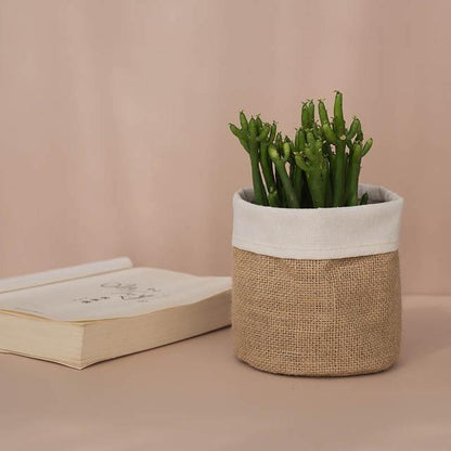 Coated Fabric Planter Basket with Fold Down Rim, view 12