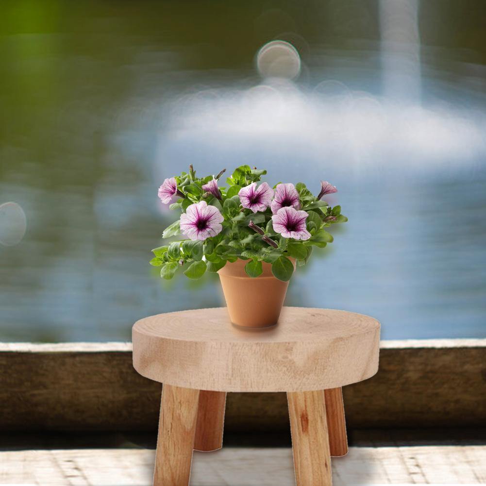 Solid Wood Plant Pot Riser Stand, Three Sizes, view 7