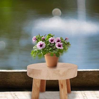 Solid Wood Plant Pot Riser Stand, Three Sizes, view 7