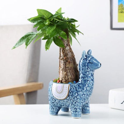 Ceramic Alpaca Succulent Planter, 4 Colors, 2 Poses, view 12