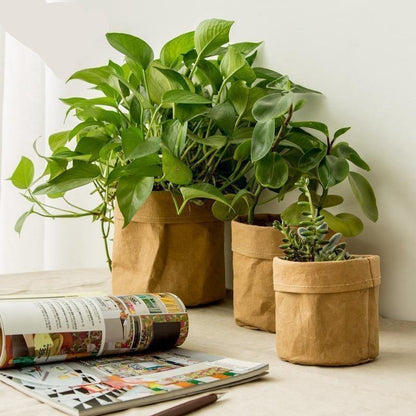 Water Resistant Paper Planter Pouch in Three Sizes
